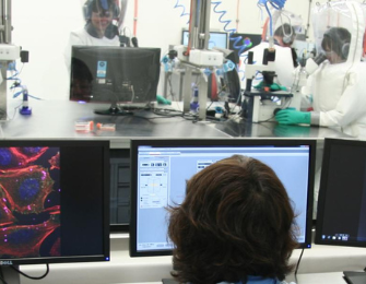 Scientists working in the secure area at CSIRO's Australian Animal Health Laboratory